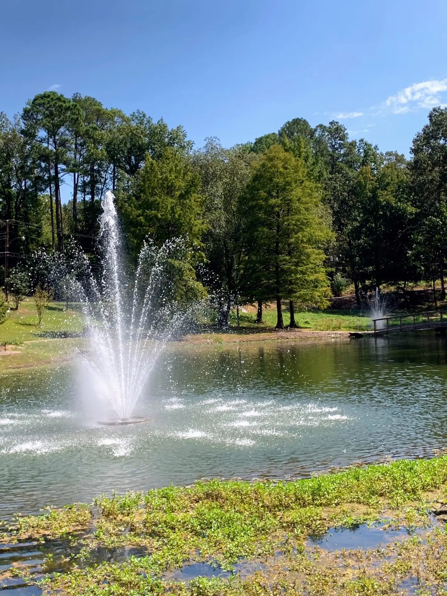 Elvis Presley Birthplace and Museum Tupelo Mississippi