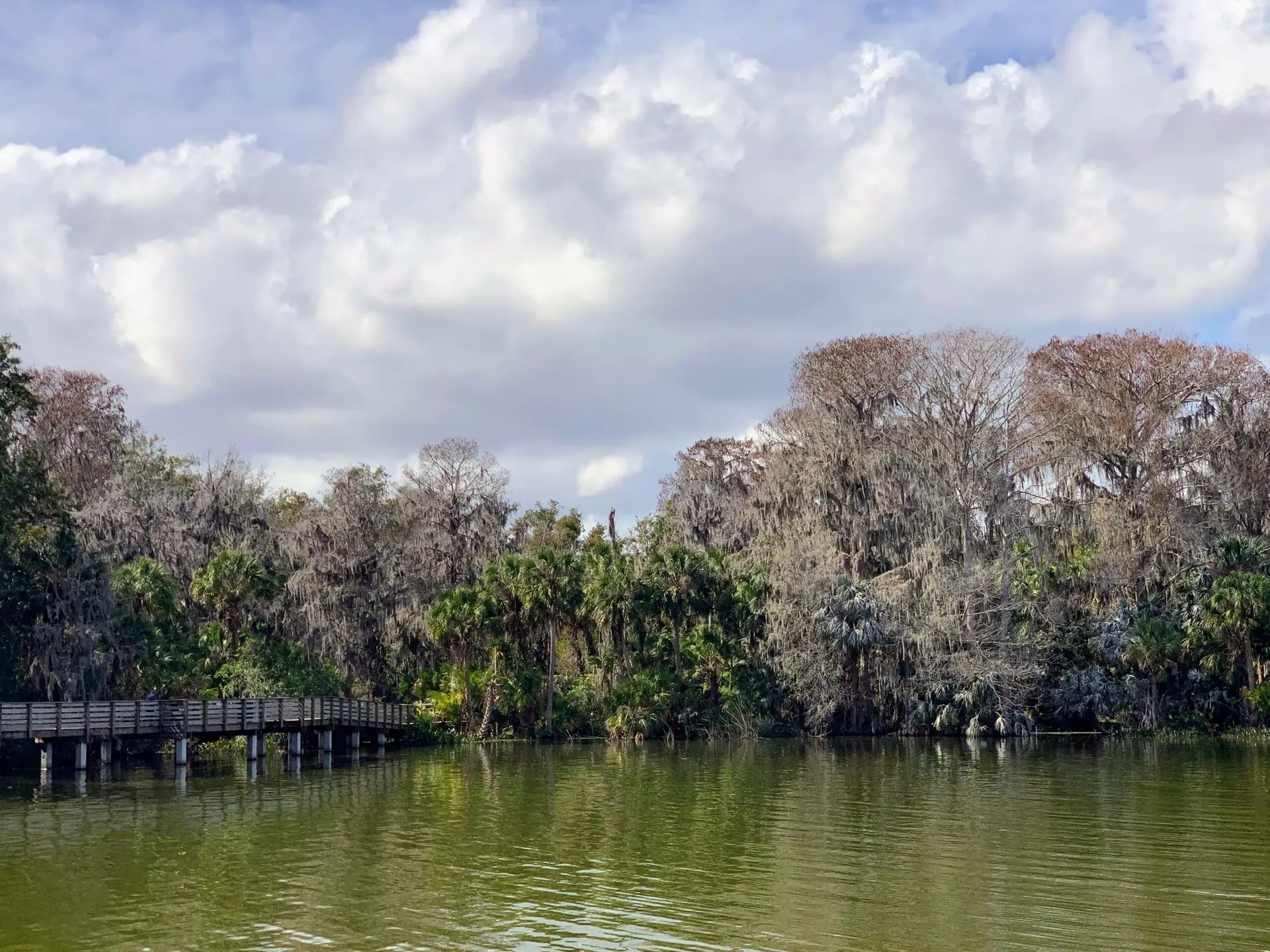 Palm Island Park Mount Dora Florida