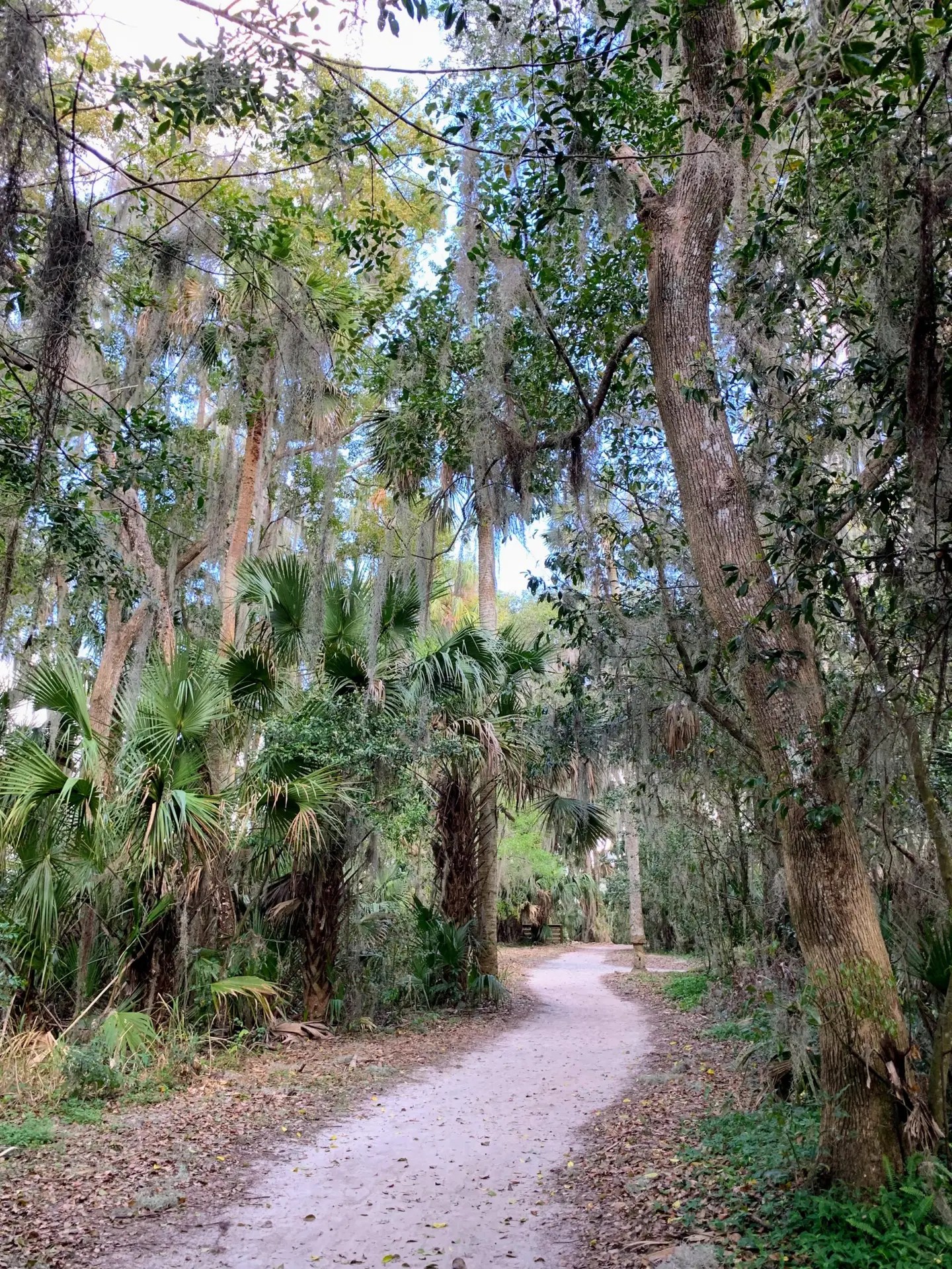 Palm Island Park Mount Dora Florida