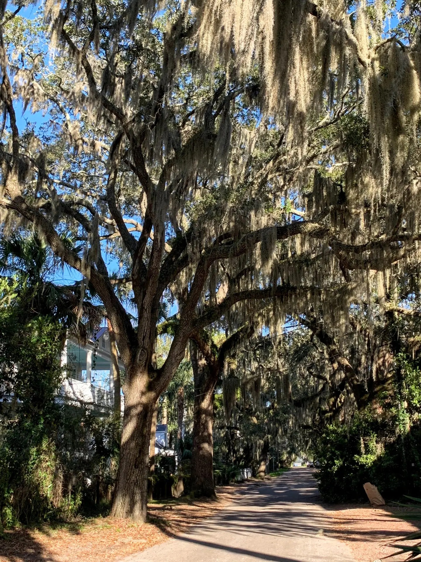 Tours Beaufort South Carolina