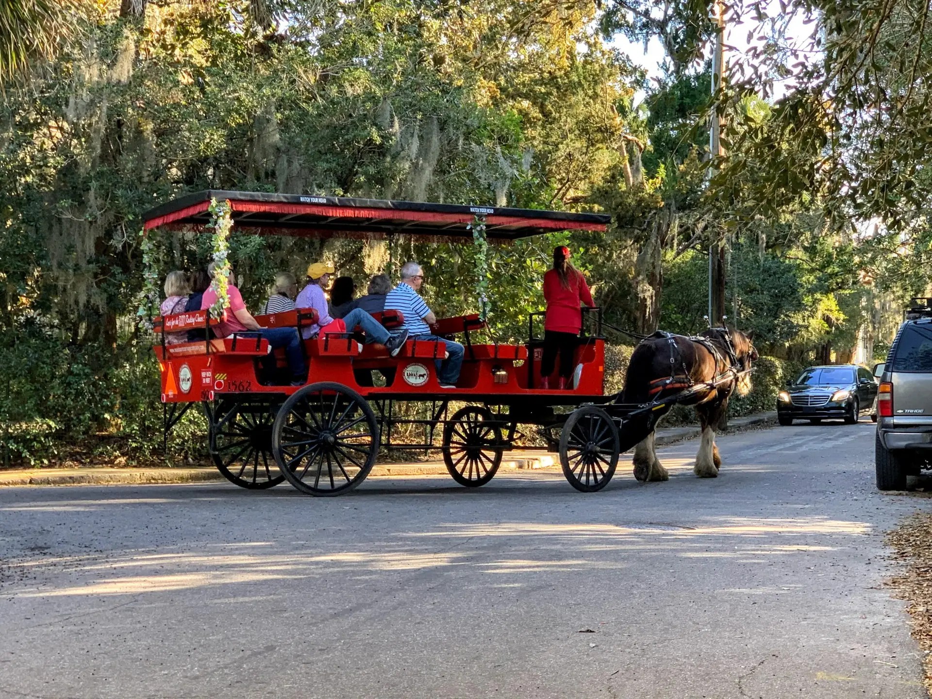 Horse & Carriage Ride Beaufort South Carolina
