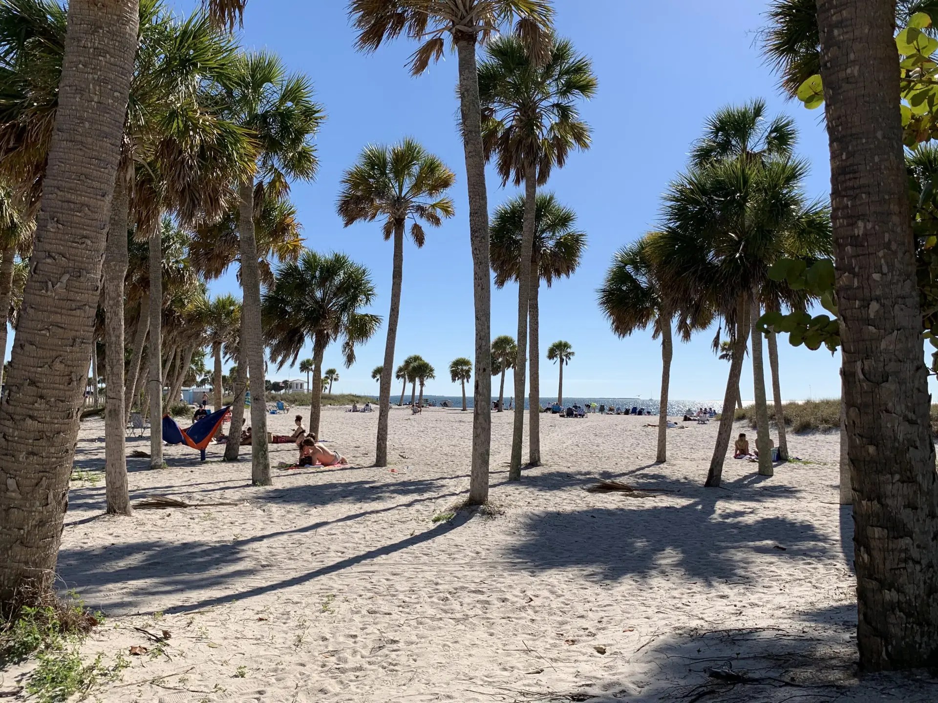 Howard Park Beach Tarpon Springs Florida