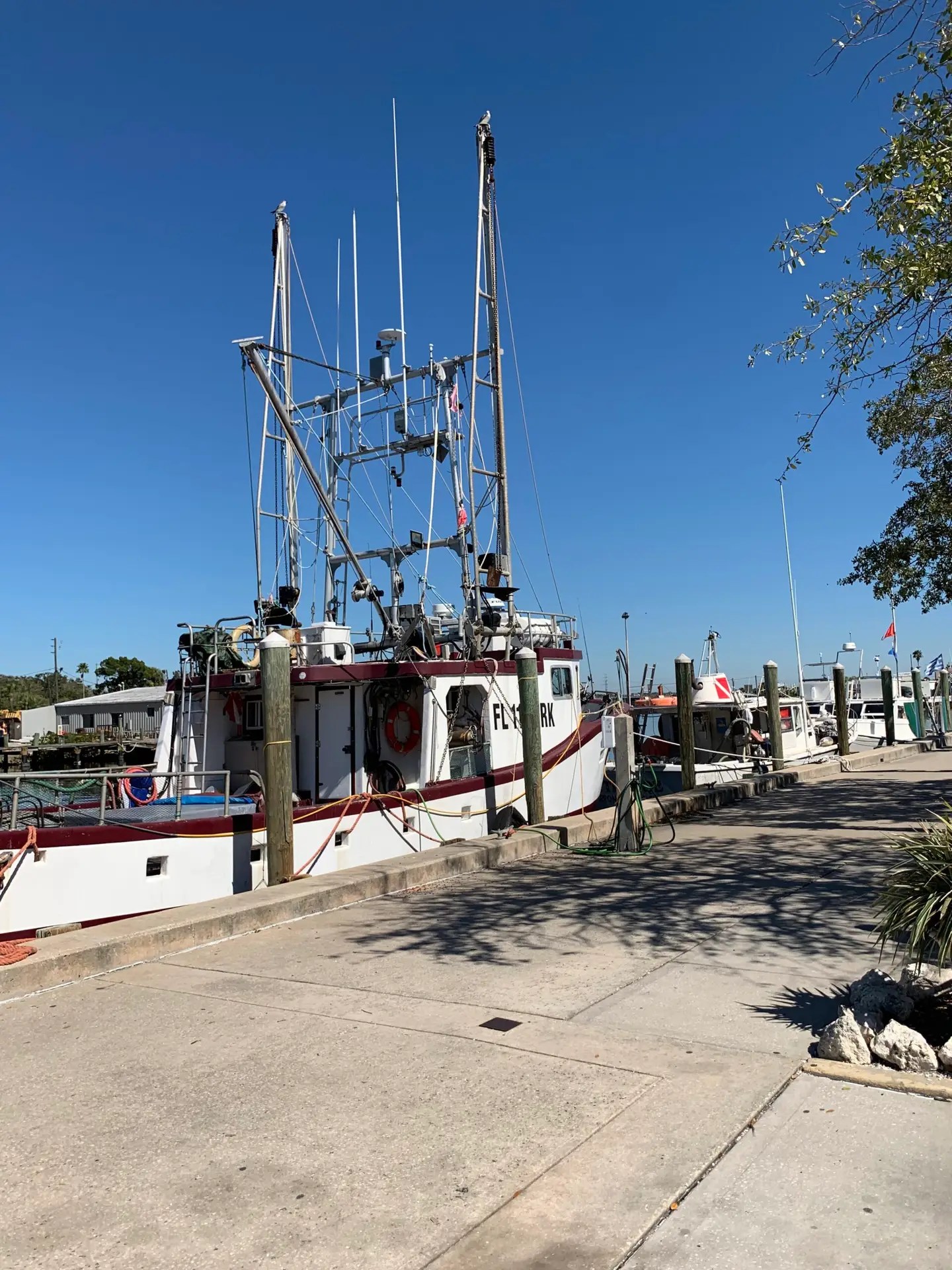 The Sponge Docks Tarpon Springs Florida