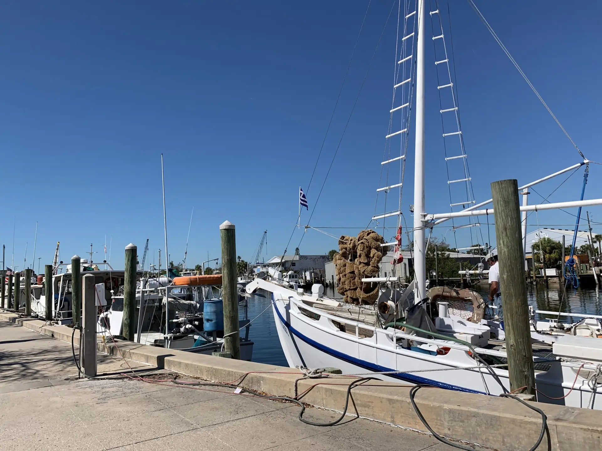 Sponge Docks Tarpon Springs Florida
