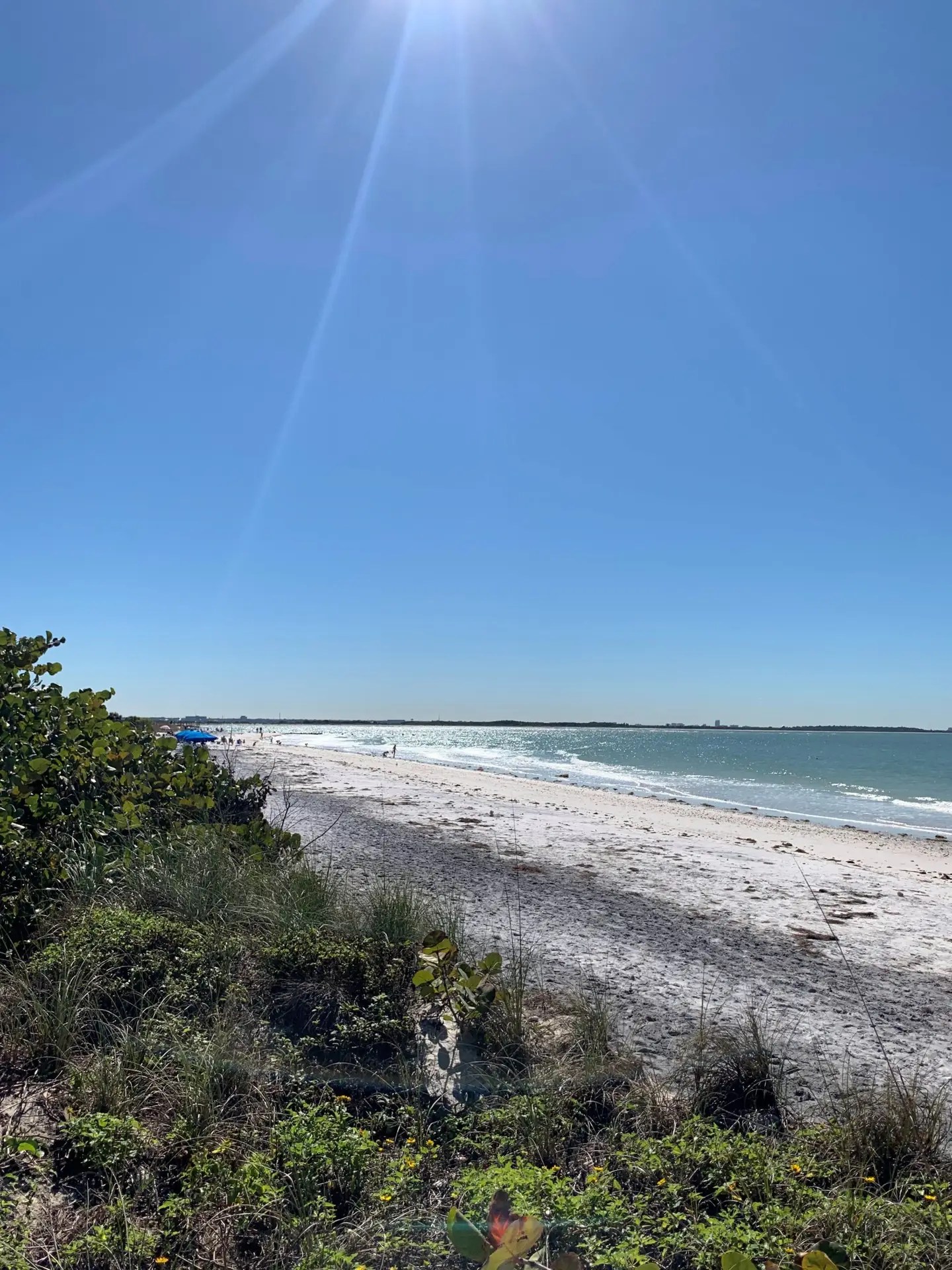 The beach at Honeymoon Island