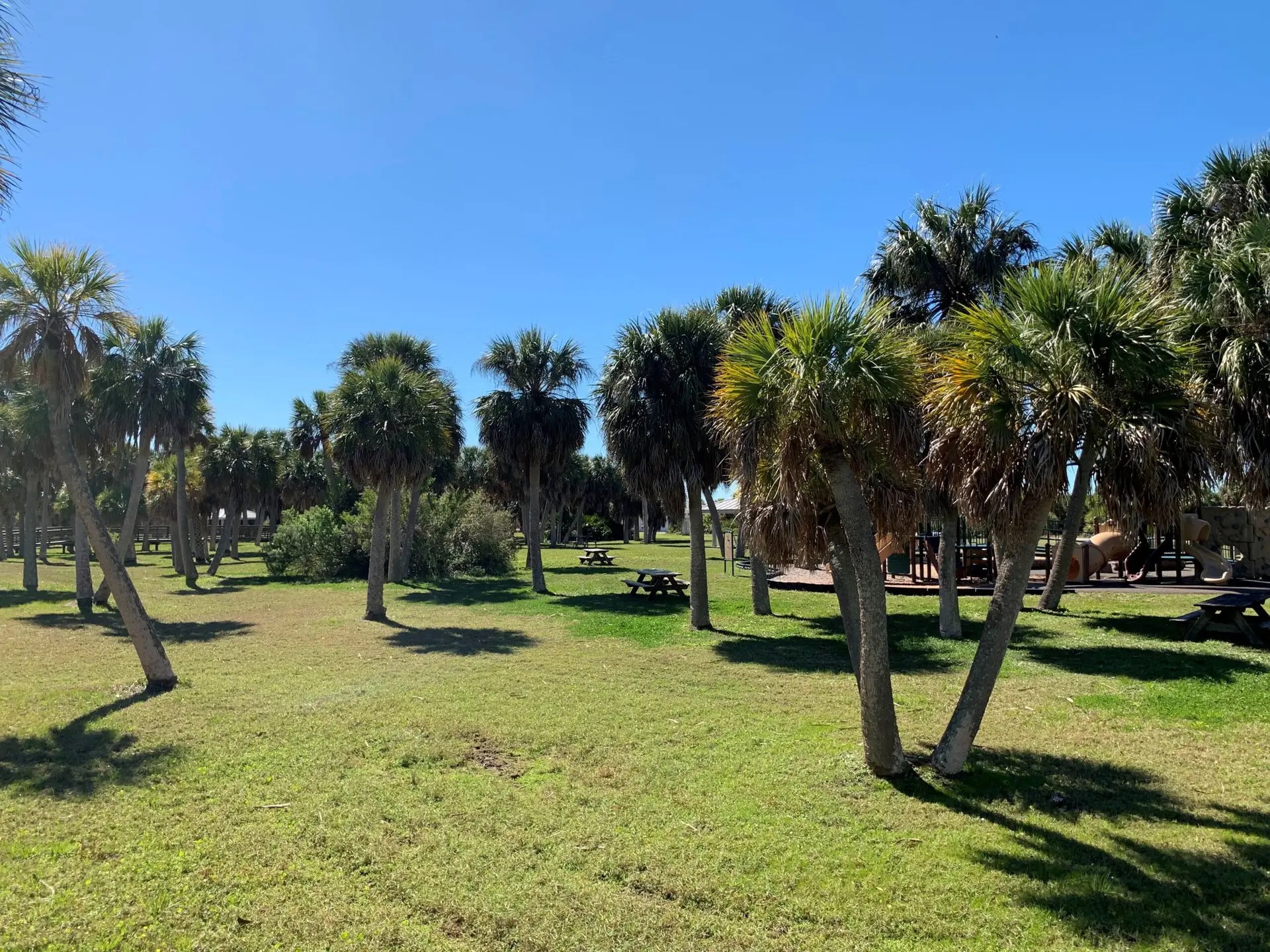 Honeymoon Island in Dunedin Florida