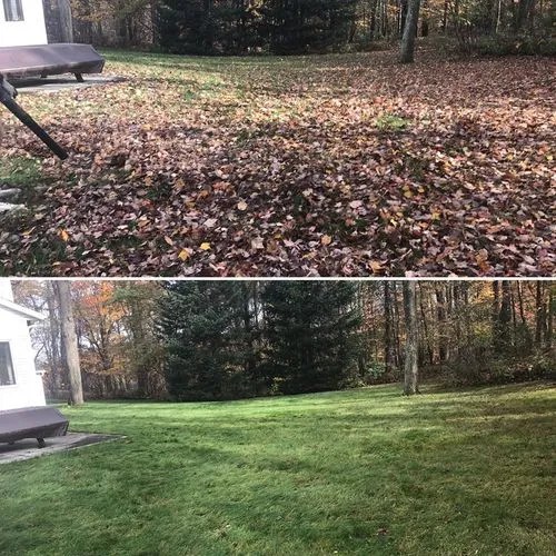 Before & AFTER Leaf Cleanup & Removal Services by Worthy Landscaping Of Montgomery County, Pa.