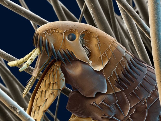 28 фото милашек, которые могут быть рядом с вами прямо сейчас