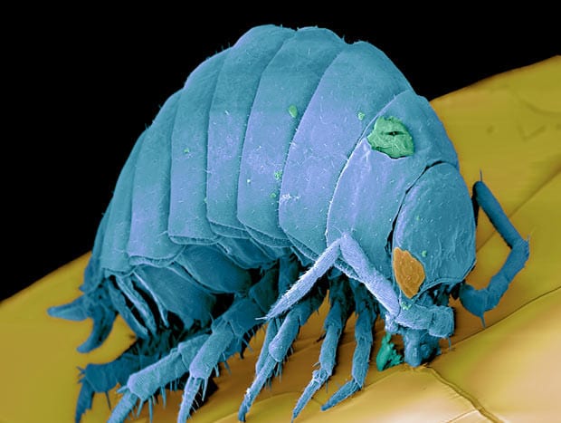 28 фото милашек, которые могут быть рядом с вами прямо сейчас