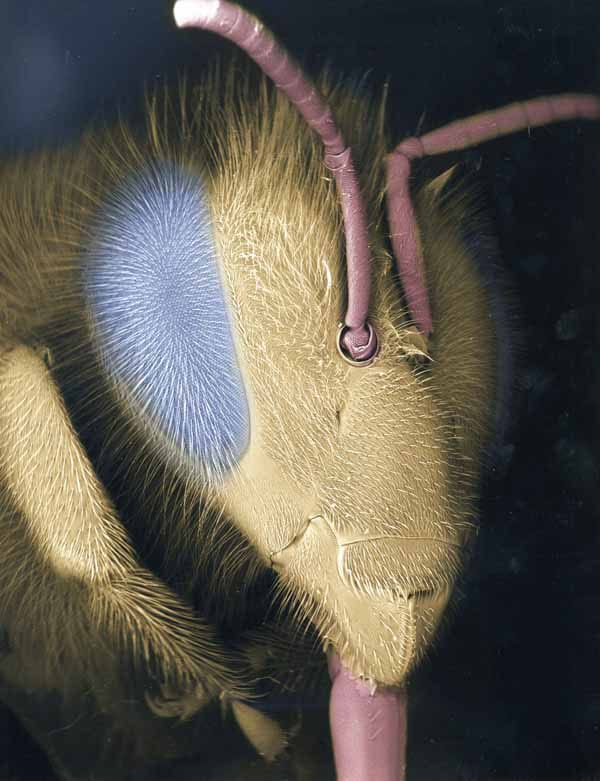 28 фото милашек, которые могут быть рядом с вами прямо сейчас