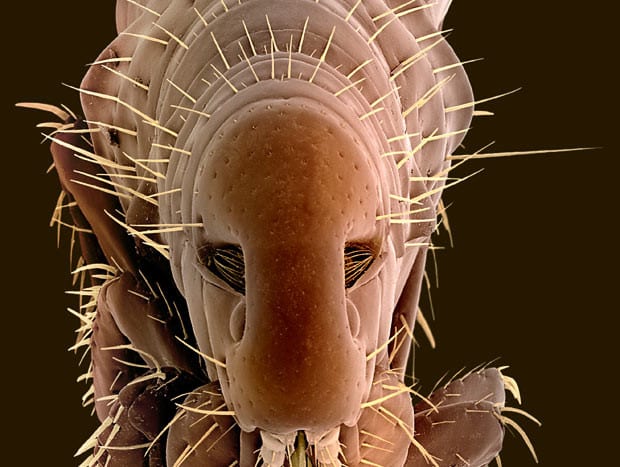 28 фото милашек, которые могут быть рядом с вами прямо сейчас