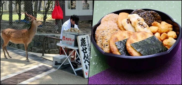Yatai - Conheça as comidas de rua do Japão senbei