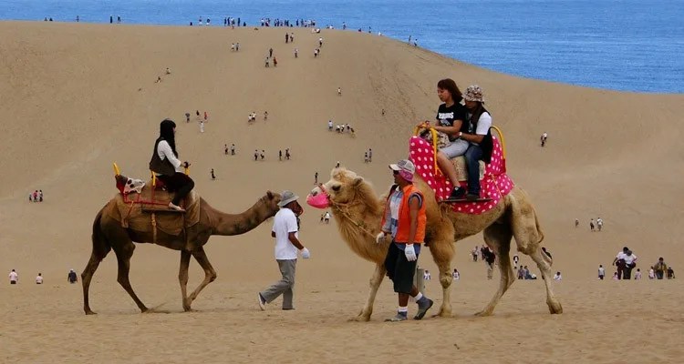 Deserto no Japão - As dunas de Tottori Sakyu Deserto no Japão - As dunas de Tottori Sakyu