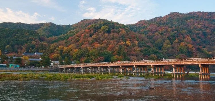 Arashiyama - Floresta de Bamboo e Montanha dos Macacos togetsukyo