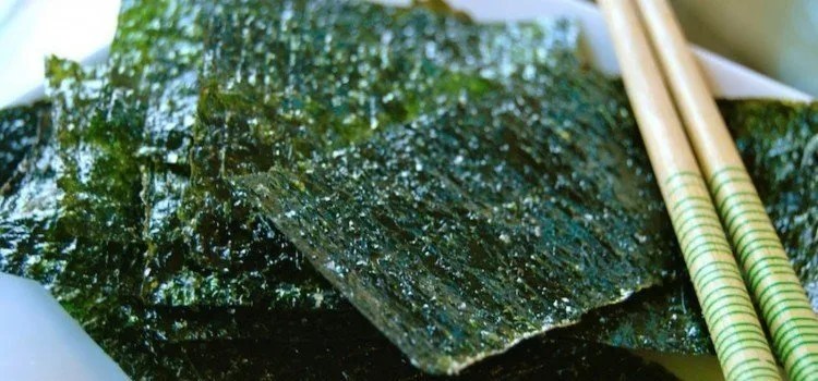 Nori - Tout sur le fameux algue utilisée dans le sushi