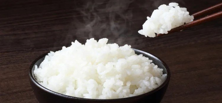 Gohan - Apprenez sur le riz japonais