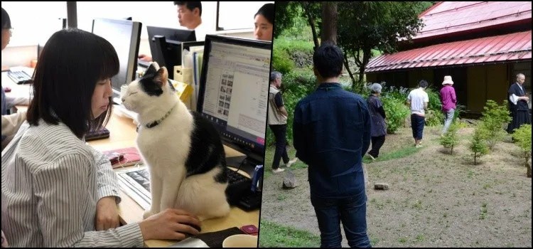 Práticas e técnicas japonesas para aliviar o estresse e relaxar Práticas e técnicas japonesas para aliviar o estresse e relaxar