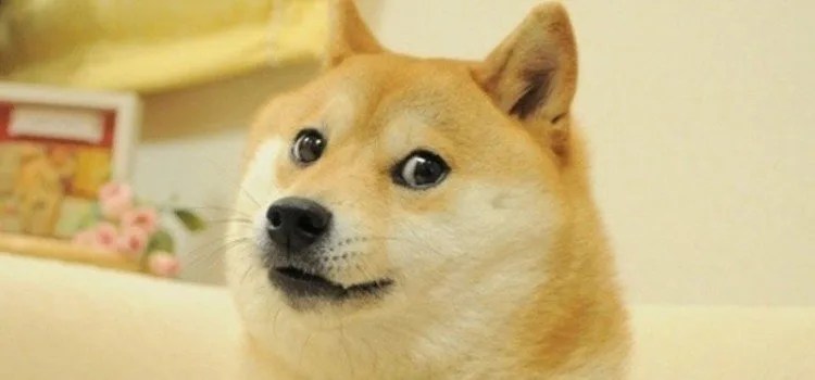 คุณรู้จัก Doge ที่มีชื่อเสียงในมีมหรือไม่?