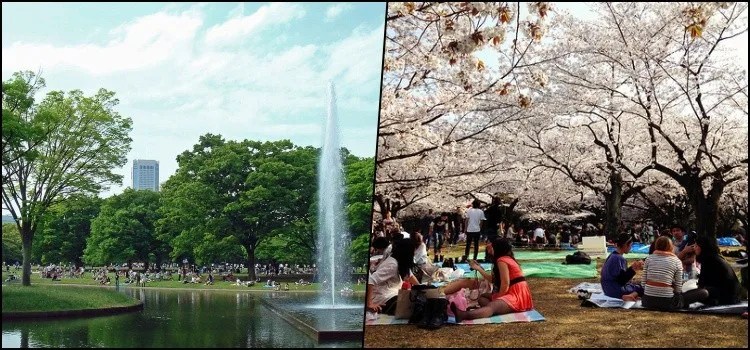 Os 50 mais populares pontos turísticos do Japão
