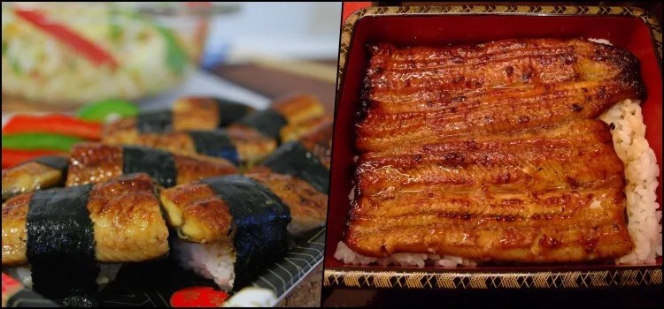 Unagi - Enguias de água doce na culinária japonesa Unagi - Enguias de água doce na culinária japonesa