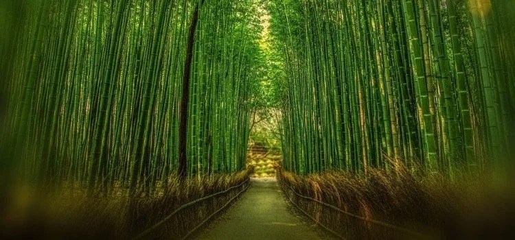 Xintoísmo no Japão - Religiões Japonesas