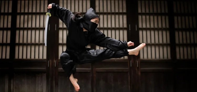 Ninja - Myths about the mercenaries of feudal Japan