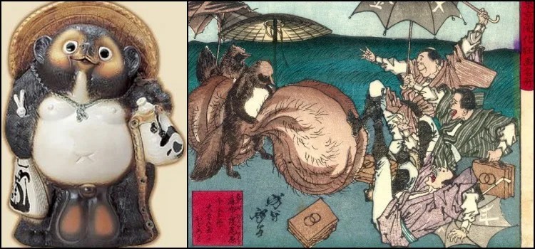 Tanuki - O cão guaxinim japonês