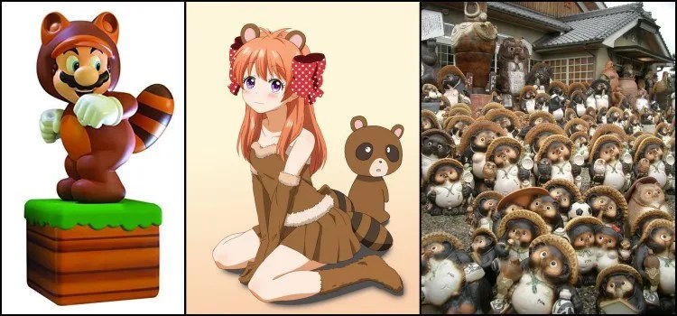 Tanuki - O cão guaxinim japonês
