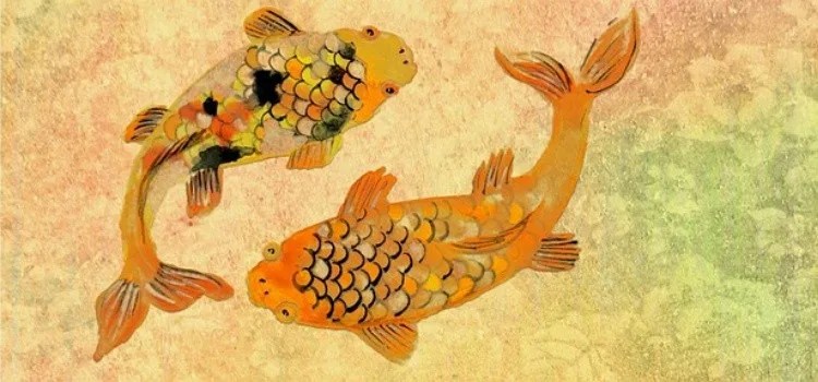 Explorando o Fascinante Mundo dos Peixes no Idioma Japonês