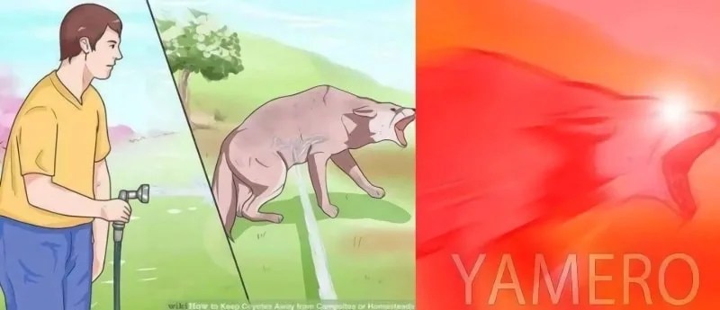 Yamete kudasai, Yamero, Dame - Significados e sinônimos em japonês
