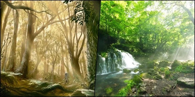 Shinrin Yoku – Tradição japonesa do banho de floresta Shinrin Yoku - Tradição japonesa do banho de floresta