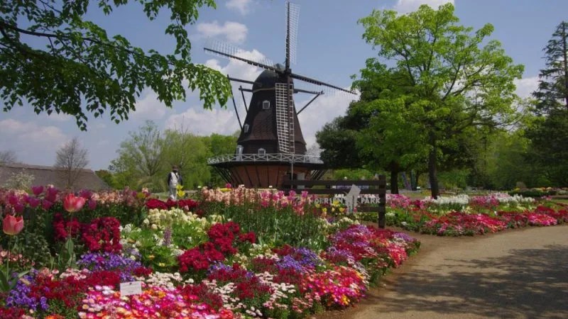 andersen park - Conhecendo o mundo em lugares estrangeiros do Japão