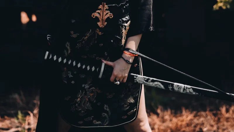Muramasa - Die verfluchte Klinge