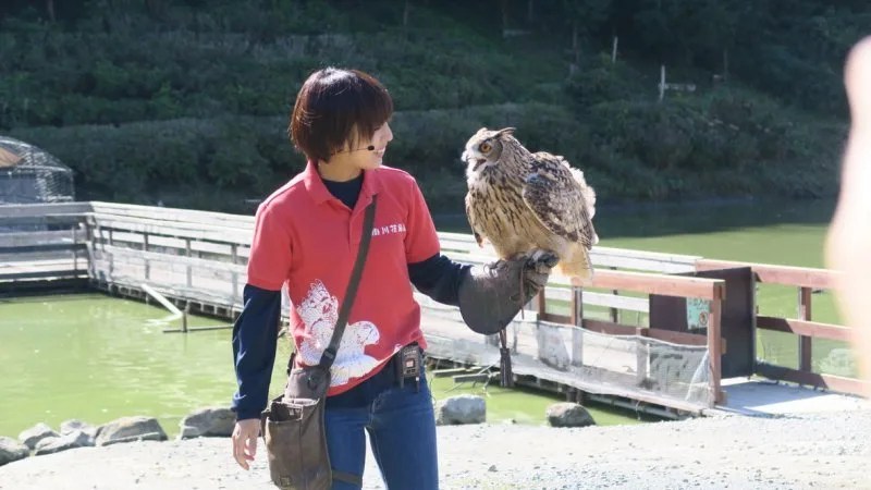 Significado de Kawaii - Cultura da fofura no Japão