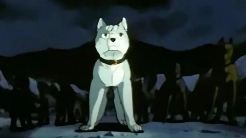 Animes com animais, cachorros e gatos