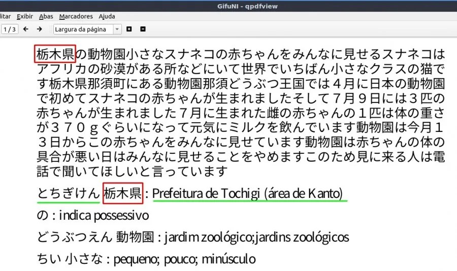 Using NWE to Study Japanese with ANKI