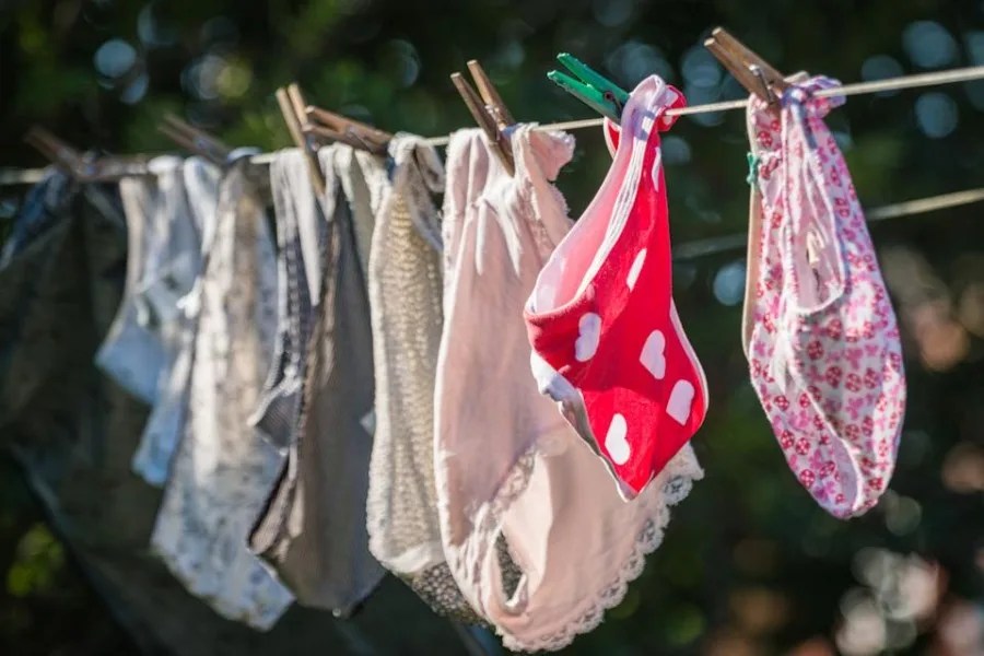 Why do the Japanese steal panties?