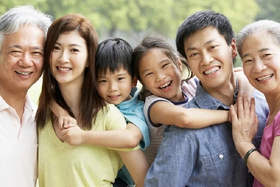 Social assistance and benefits in Japan