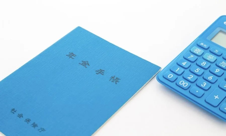 Social assistance and benefits in Japan