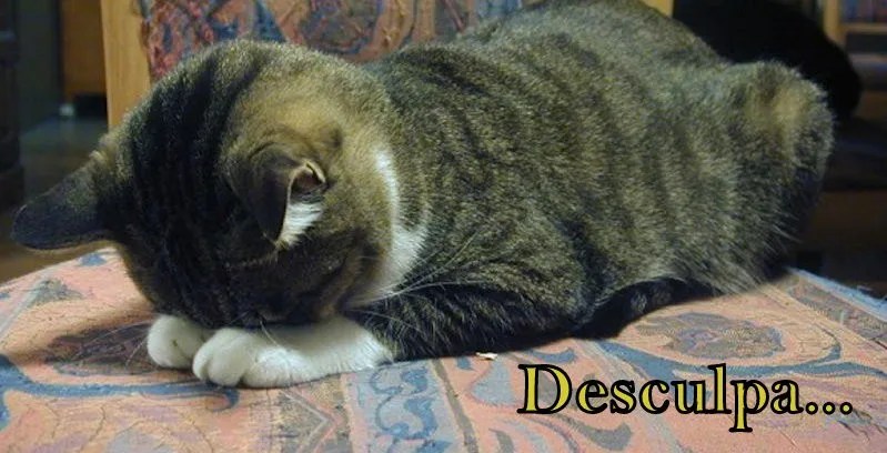 Desculpas - Japoneses e o hábito de pedir desculpas