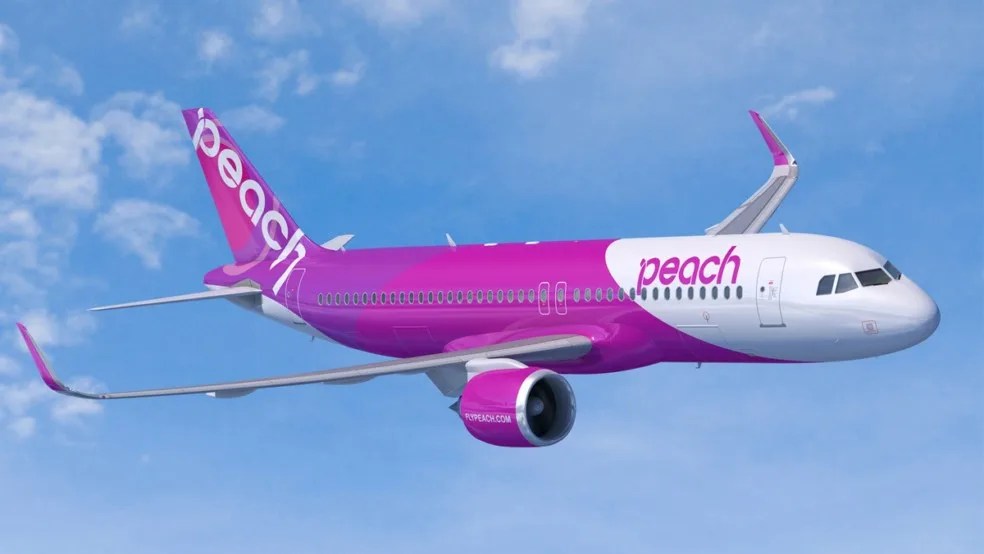 Main Airlines for Domestic Flights in Japan