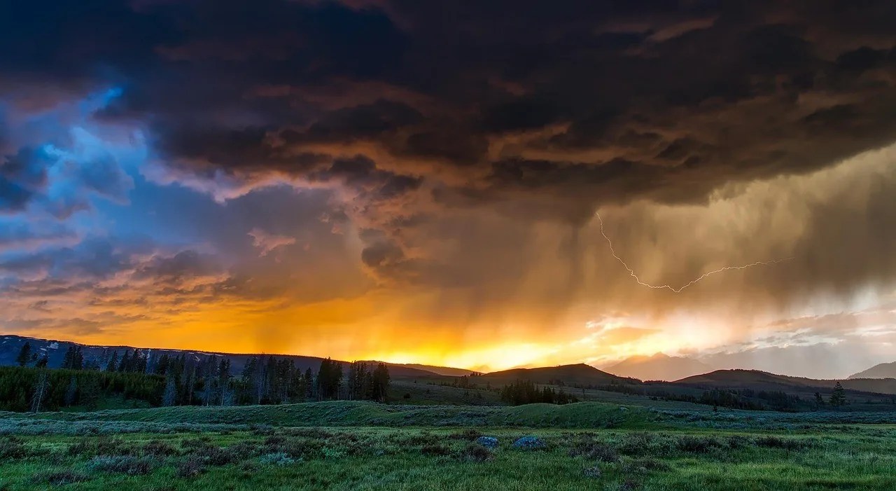 A Camping & Wildlife Excursion Guide to Yellowstone National Park