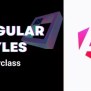 Angular Styles Masterclass - Learn To Style In Angular - Global Styles ...