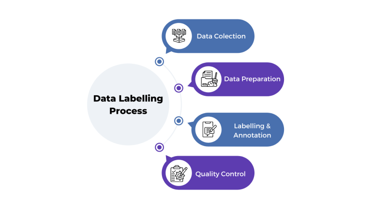 The Data Labelling Process