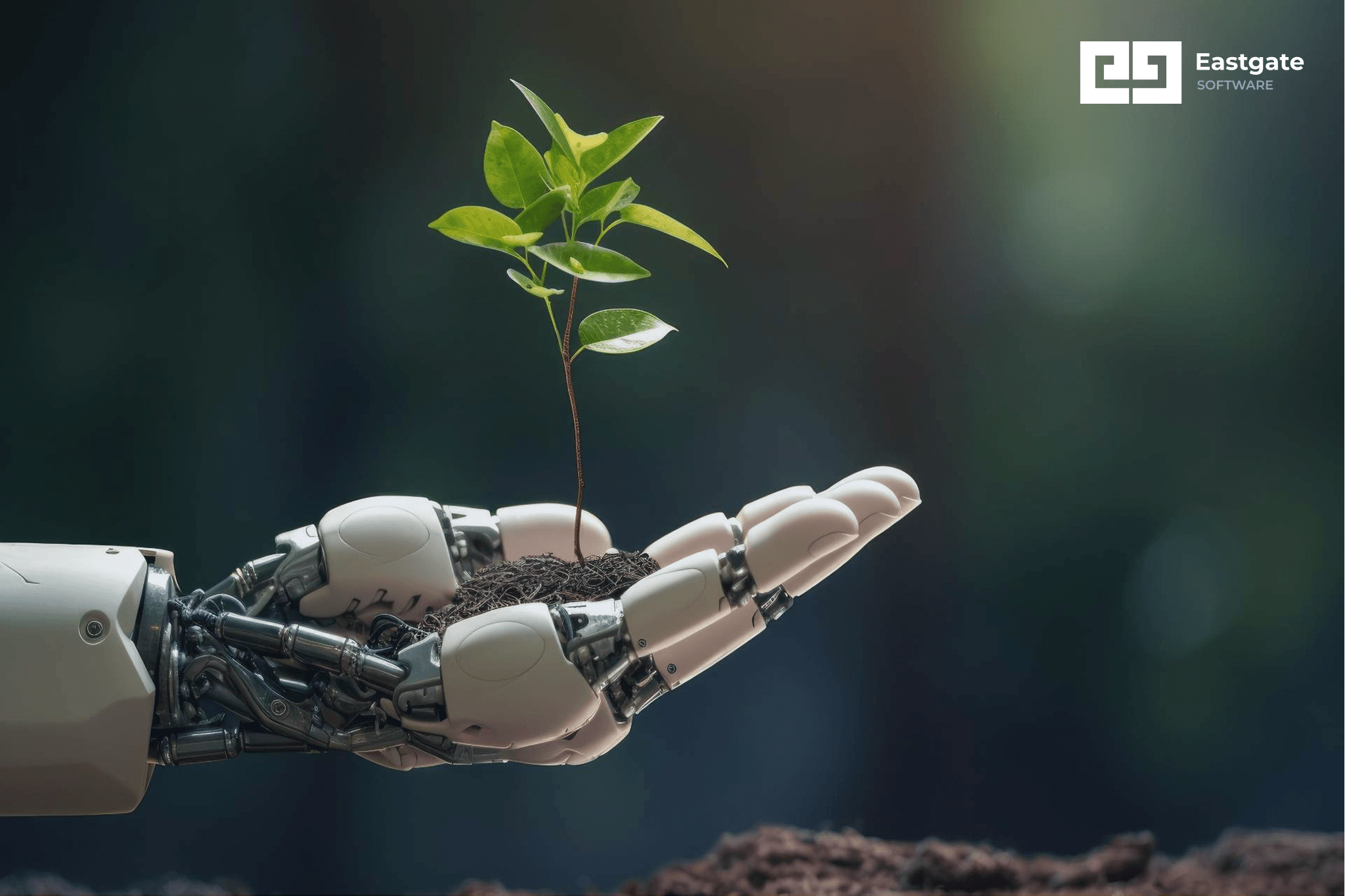 Environmental Impact of AI: What You Need to Know