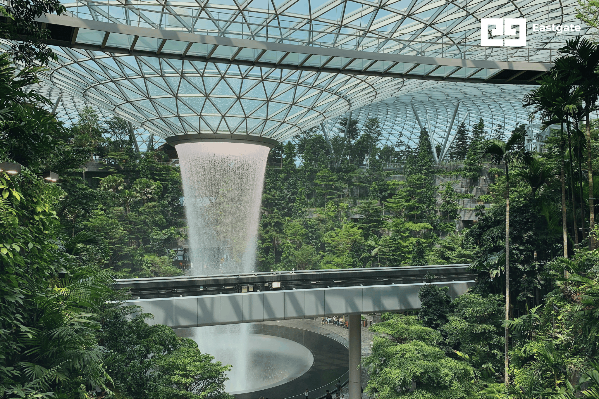 10 Singapore Digital Transformation Companies Compared