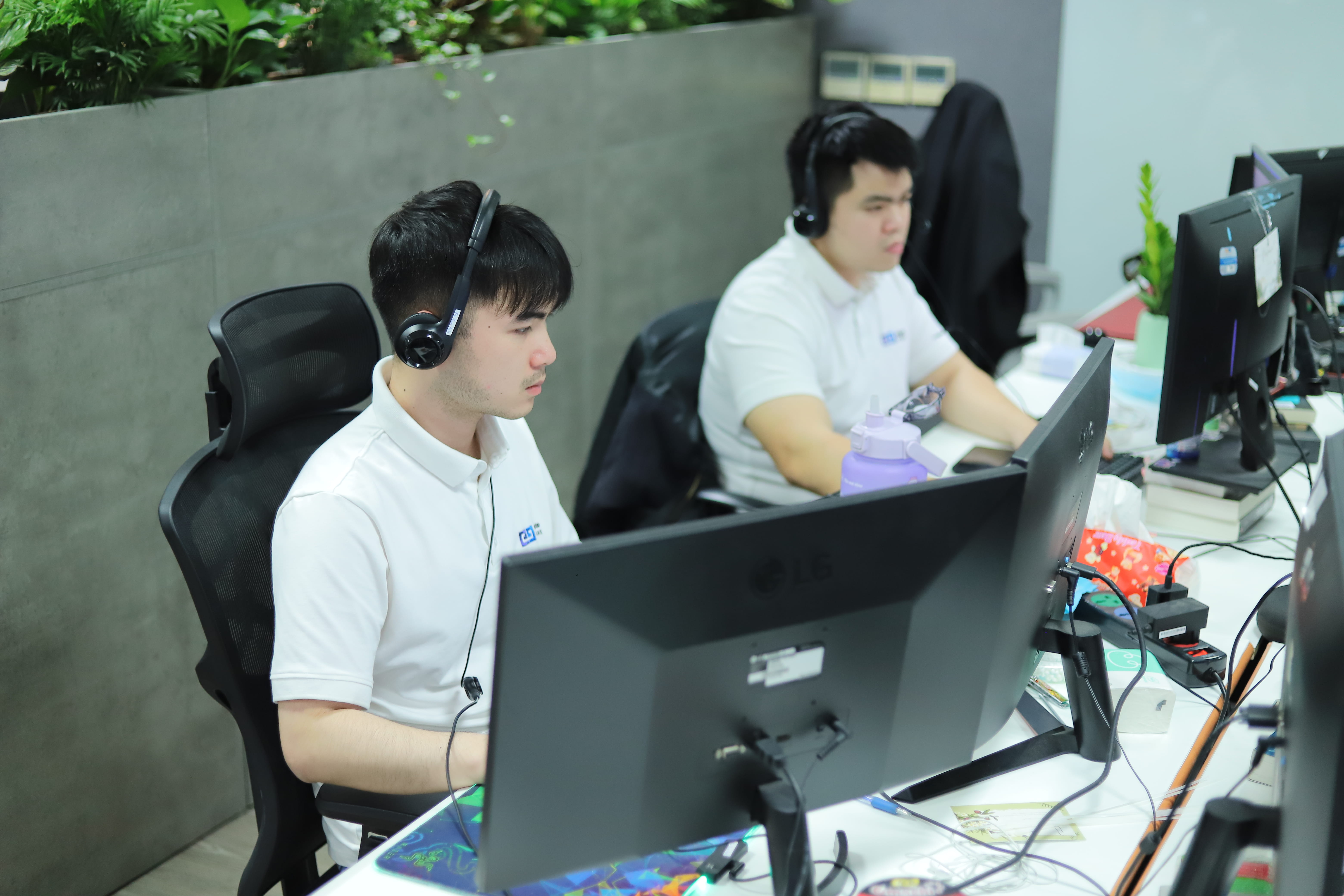 Software development team structure in Vietnam