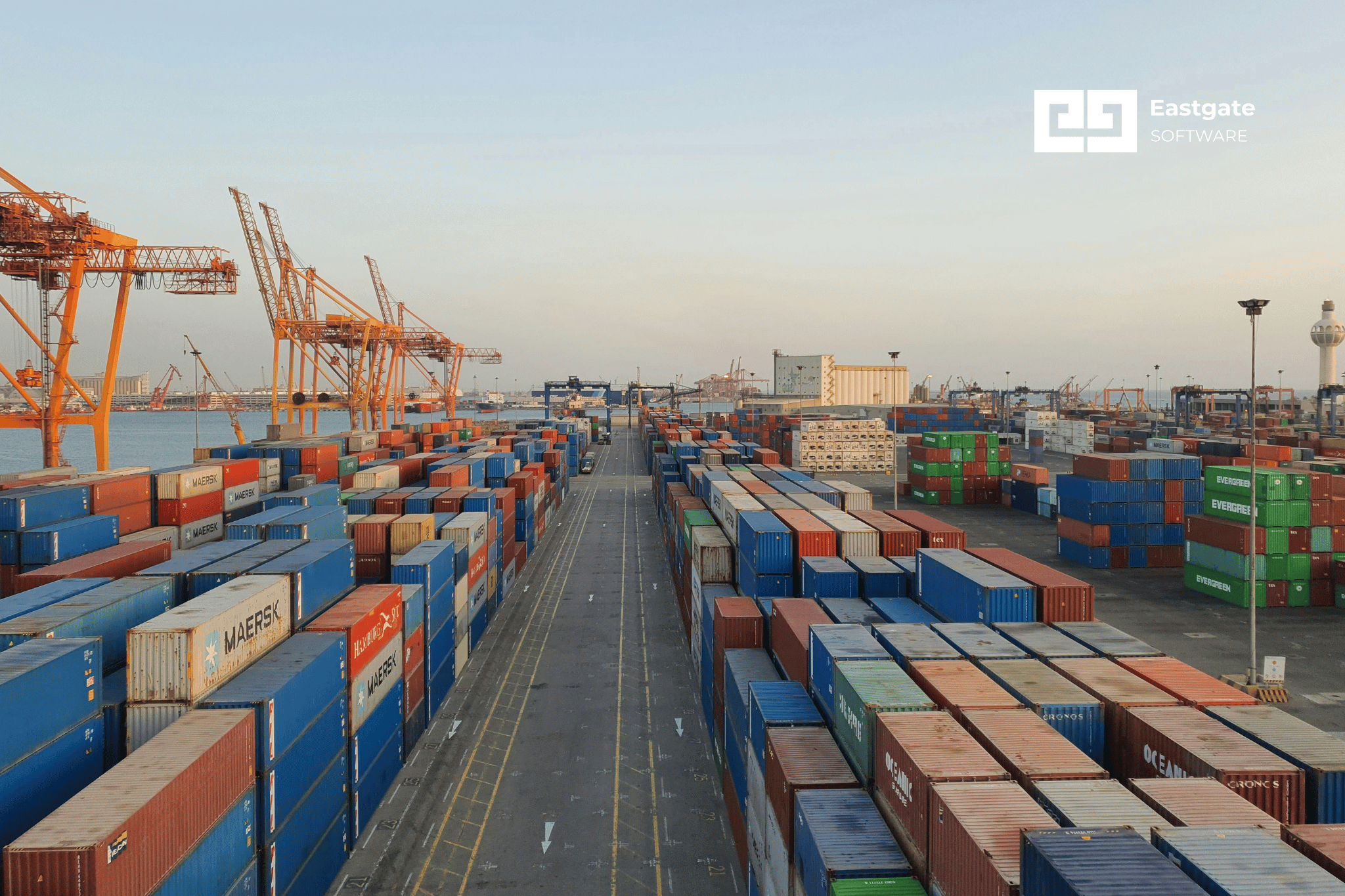 Image related to logistics management software: buy or build custom?