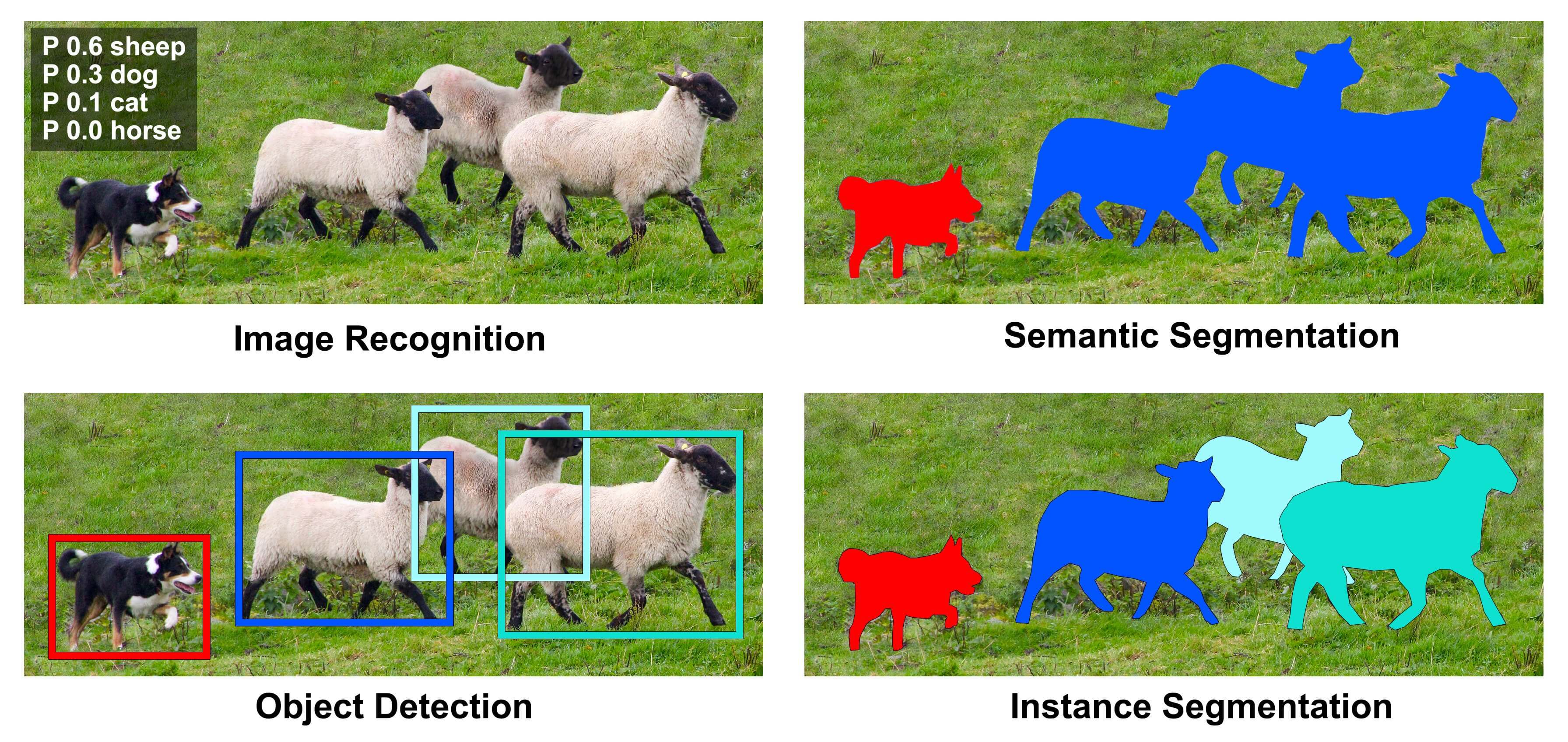Image recognition, object detection, semantic segmentation, and instance segmentation compared