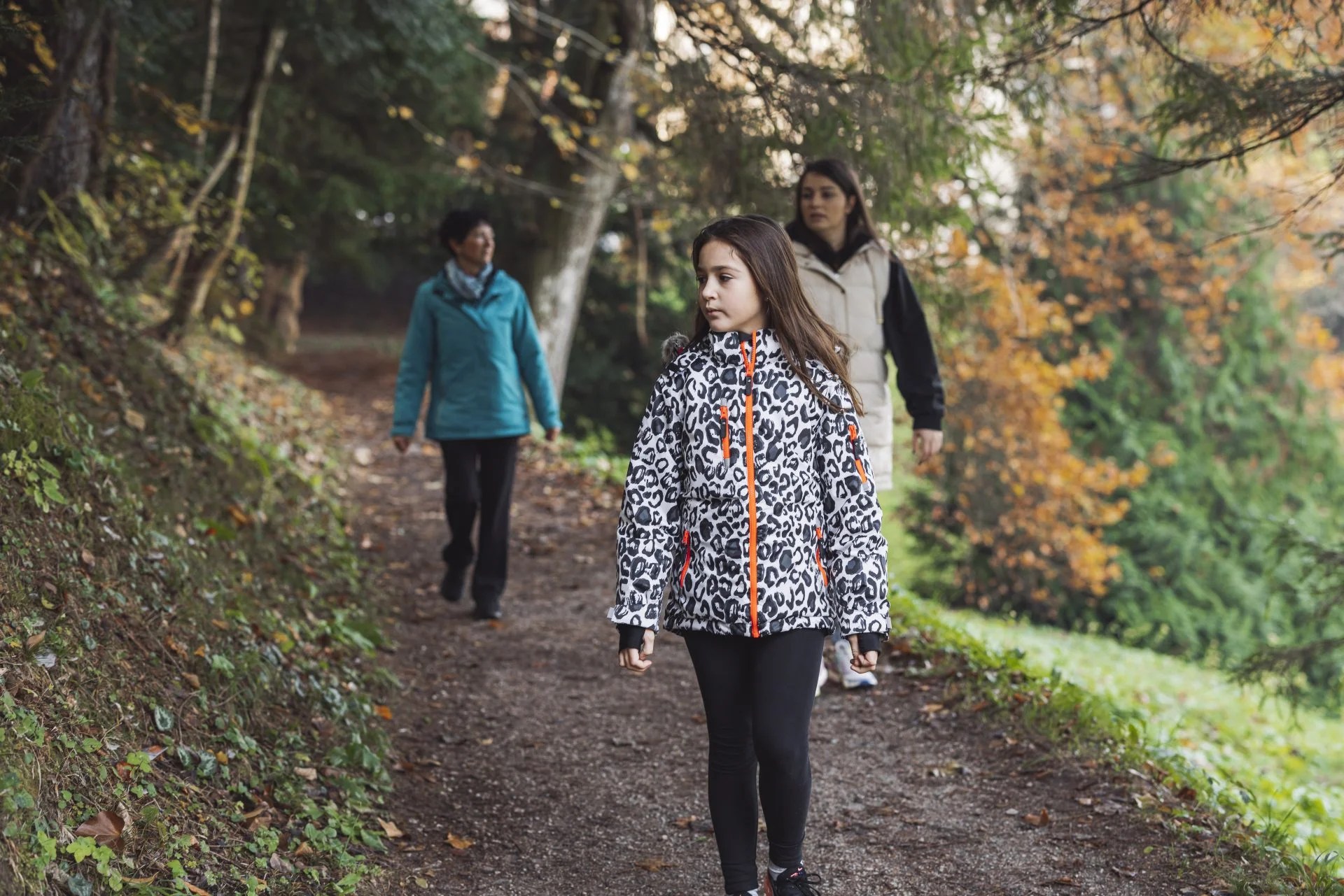 Walking Exercise — Habuild